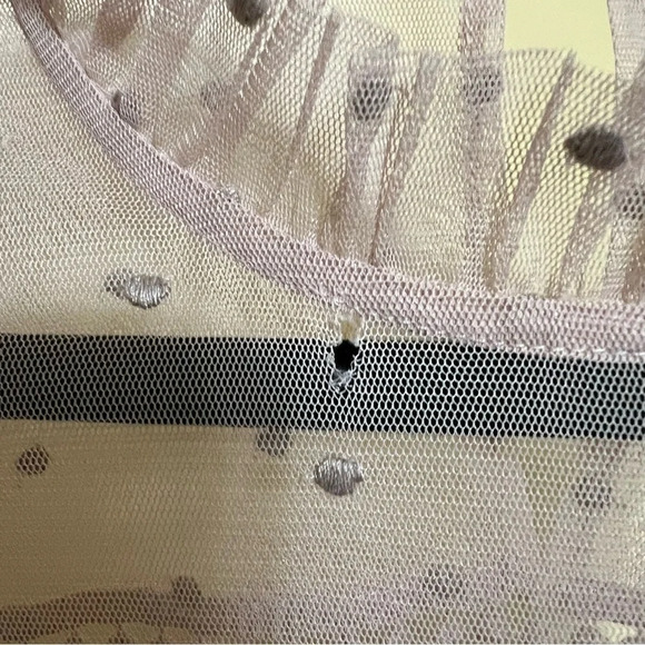 BB Dakota Roslyn Women’s S Victorian Blush Swiss Dot Crochet Ruffle Blouse - Picture 4 of 7